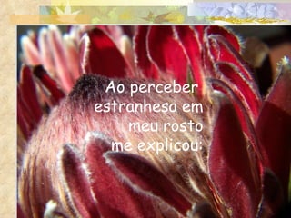 Ao perceber  estranhesa em meu rosto  me explicou: 