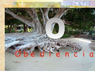 O b e  d  i  e  n  c  i  a O 