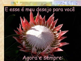 E esse é meu desejo para você   Agora e sempre: 