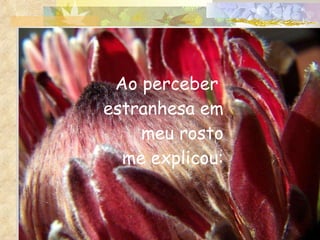 Ao perceber  estranhesa em meu rosto  me explicou: 