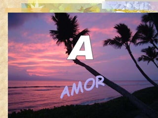AMOR A 