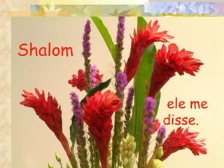 Shalom   ele me disse. 