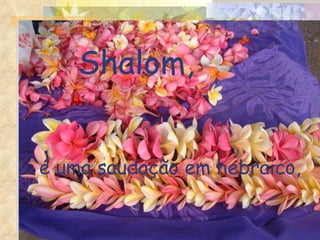 é uma saudação em hebraico, Shalom, 