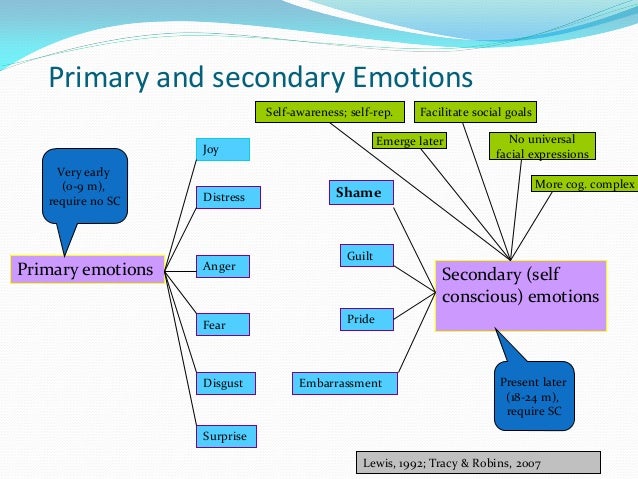 Shame in Dissociative Disorders