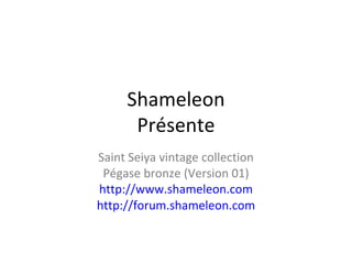 Shameleon Présente Saint Seiya vintage collection Pégase bronze (Version 01) http://www.shameleon.com http://forum.shameleon.com 