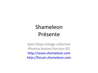 Shameleon Présente Saint Seiya vintage collection Phoénix bronze (Version 01) http://www.shameleon.com http://forum.shameleon.com 
