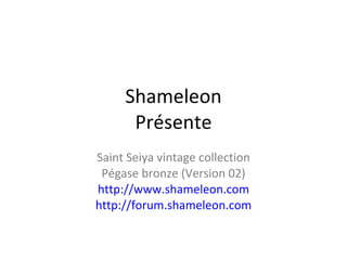 Shameleon Présente Saint Seiya vintage collection Pégase bronze (Version 02) http://www.shameleon.com http://forum.shameleon.com 