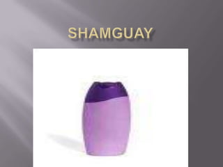 shamguay 