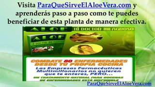 Visita ParaQueSirveElAloeVera.com y
  aprenderás paso a paso como te puedes
beneficiar de esta planta de manera efectiva.
...