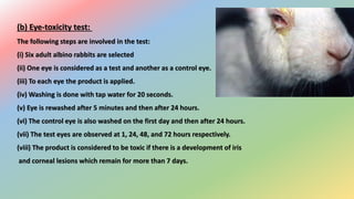 (b) Eye-toxicity test:
The following steps are involved in the test:
(i) Six adult albino rabbits are selected
(ii) One eye is considered as a test and another as a control eye.
(iii) To each eye the product is applied.
(iv) Washing is done with tap water for 20 seconds.
(v) Eye is rewashed after 5 minutes and then after 24 hours.
(vi) The control eye is also washed on the first day and then after 24 hours.
(vii) The test eyes are observed at 1, 24, 48, and 72 hours respectively.
(viii) The product is considered to be toxic if there is a development of iris
and corneal lesions which remain for more than 7 days.
 