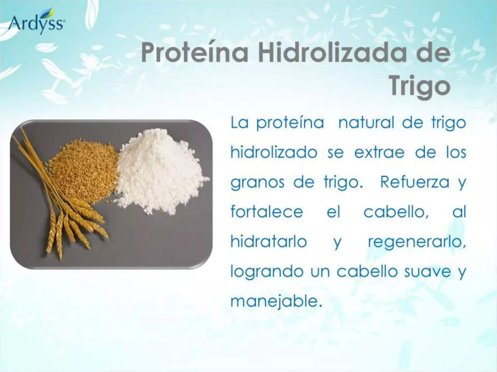 Shampoo y acondicionador