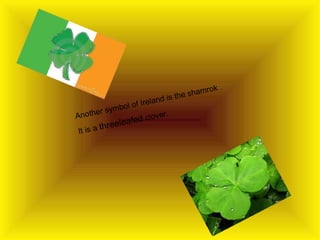 Another symbol of Ireland is the shamrok .
It is a threeleafed clover.
 