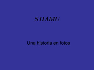 SHAMU Una historia en fotos 