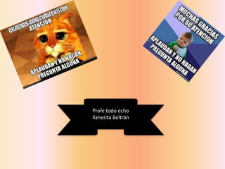 Profe todo echo
llanerita Beltrán
 