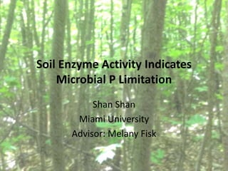 Soil Enzyme Activity Indicates
Microbial P Limitation
Shan Shan
Miami University
Advisor: Melany Fisk
 
