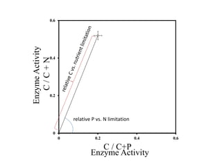 0
0.2
0.4
0.6
0 0.2 0.4 0.6
C/C+N
C / C+P
relative P vs. N limitation
EnzymeActivity
Enzyme Activity
 