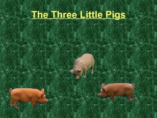 The Three Little Pigs 