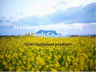 Shandong Potence Sporting
Goods Co.,Ltd
Gym equipment products
 