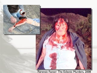 Forensic Factor: The Eclectic Murders, 2008 