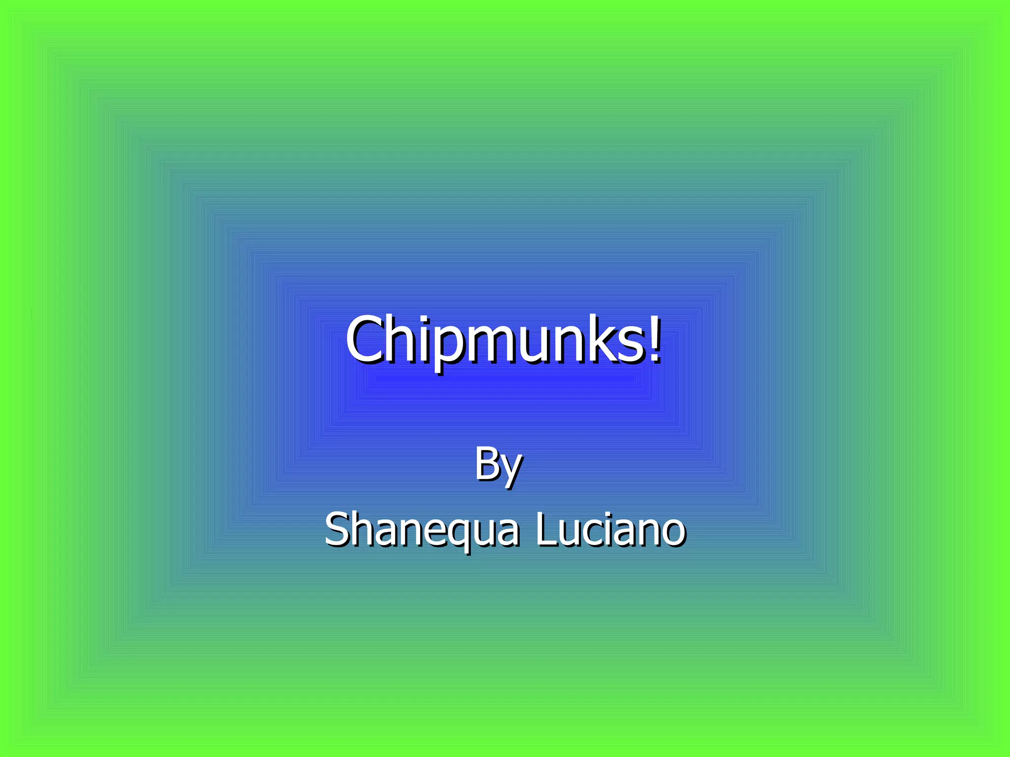Photos: Archbishop Chapelle'S Chipmunk Tracks Extravaganza - 10ad47i