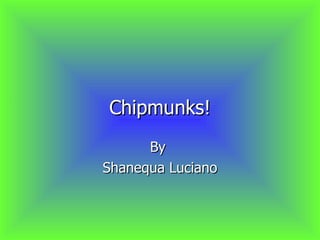Chipmunks! By  Shanequa Luciano 