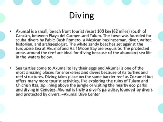 Diving
• Akumal is a small, beach front tourist resort 100 km (62 miles) south of
Cancún, between Playa del Carmen and Tulum. The town was founded for
scuba divers by Pablo Bush Romero, a Mexican businessman, diver, writer,
historian, and archaeologist. The white sandy beaches set against the
turquoise Sea at Akumal and Half Moon Bay are exquisite. The protected
areas around the reef are ideal for diving because of the abundant sea life
in the waters below.
• Sea turtles come to Akumal to lay their eggs and Akumal is one of the
most amazing places for snorkelers and divers because of its turtles and
reef structures. Diving takes place on the same barrier reef as Cozumel but
offers many more tourist activities, like exploring the ruins of Tulum and
Chichen Itza, zip lining above the jungle or visiting the nearby eco parks
and diving in Cenotes. Akumal is truly a diver's paradise, founded by divers
and protected by divers. –Akumal Dive Center
 