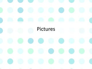 Pictures
 