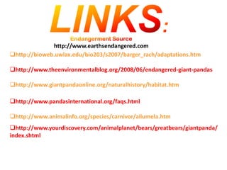 Global Populations1960s-1990- Rare1990-1994 – Endangered1994-2004 – Endangered2004-2009 - Endangered1960s-1990- 800-1,200 Pandas1990-1994- 1,000-1,200 Pandas1994-2004- 1,600 Pandas2004-2009 – Less than 1,500 Pandas