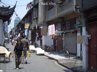 Back Alley 