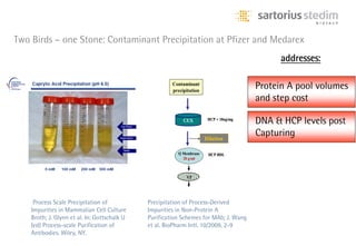 Two Birds – one Stone: Contaminant Precipitation at Pfizer and Medarex
                                                                                                        addresses:
                                                 Fig 7a. precipitation based process     Fig 7b. TFF based process

                                                        Contaminant
                                                        precipitation
                                                                                           Protein A pool volumes
                                                                                             TFF


                                                                                           and step cost

                                                                                           DNA & HCP levels post
                                                                                                        HCP < 1000 ng/mg
                                                             CEX         HCP < 10ng/mg      CEX


                                                                        Dilution
                                                                                           Capturing
                                                                                                 Dilution

                                                          Q Membrane                       Q Membrane   HCP < 1000 ng/mg
                                                                         HCP BDL              2 g/ml
                                                            20 g/ml
                                                                                                        Dilution
                                                               VF
                                                                                             Mix Mode


                                                                                                VF
     Process Scale Precipitation of           Precipitation of Process-Derived
    Impurities in Mammalian Cell Culture      Impurities in Non-Protein A
    Broth; J. Glynn et al. In: Gottschalk U   Purification Schemes for MAb; J. Wang
    (ed) Process-scale Purification of        et al. BioPharm Intl. 10/2009, 2-9
    Antibodies. Wiley, NY.
 