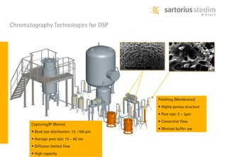 Chromatography Technologies for DSP




                                              Polishing (Membranes)
                                              • Highly porous structure
                                              • Pore size: 3 – 5μm
                                              • Convective Flow
       Capturing/IP (Resins)
                                              • Minimal buffer use
       • Bead size distribution: 15 -160 μm
       • Average pore size: 15 - 40 nm
       • Diffusion limited flow
       • High capacity
 