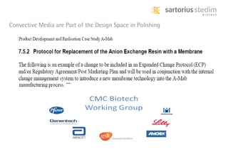 Convective Media are Part of the Design Space in Polishing




                     ...
 