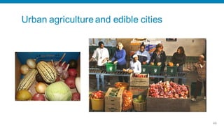 Urban agriculture and edible cities




                                      49
 