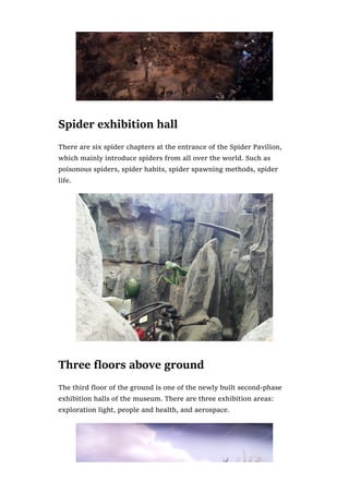Spider exhibition hall
There are six spider chapters at the entrance of the Spider Pavilion,
which mainly introduce spiders from all over the world. Such as
poisonous spiders, spider habits, spider spawning methods, spider
life.
Three floors above ground
The third floor of the ground is one of the newly built second-phase
exhibition halls of the museum. There are three exhibition areas:
exploration light, people and health, and aerospace.
 