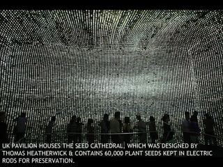 UK PAVILION HOUSES THE SEED CATHEDRAL, WHICH WAS DESIGNED BY THOMAS HEATHERWICK & CONTAINS 60,000 PLANT SEEDS KEPT IN ELECTRIC RODS FOR PRESERVATION. 