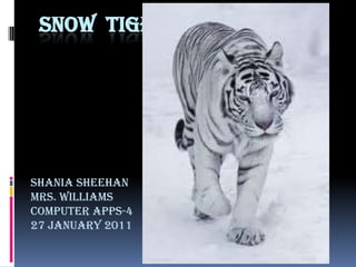 SNOW TIGER




Shania Sheehan
Mrs. Williams
Computer Apps-4
27 January 2011
 