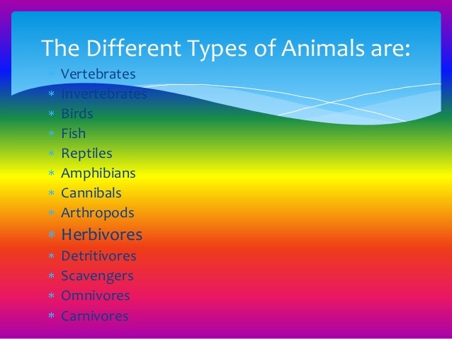 different types of animals types of animals