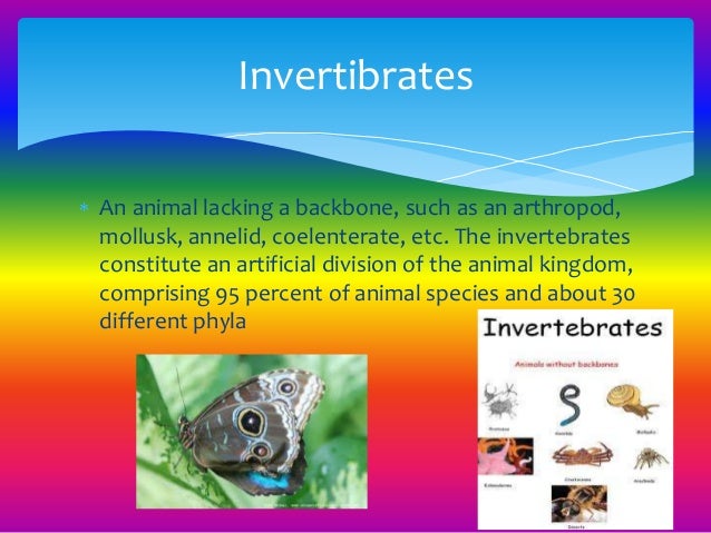 Different types of Animals
