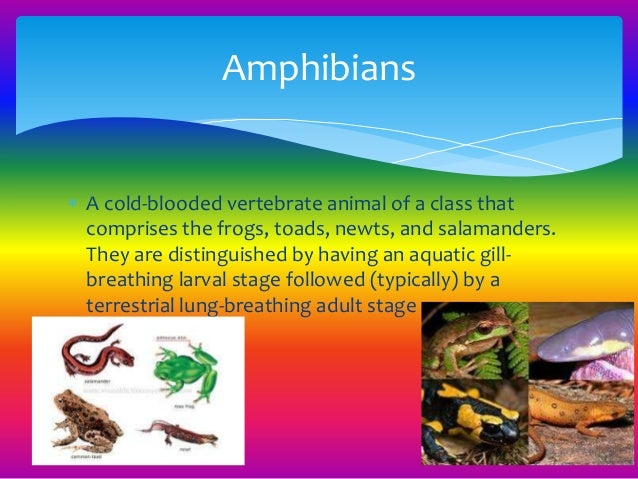 Different types of Animals
