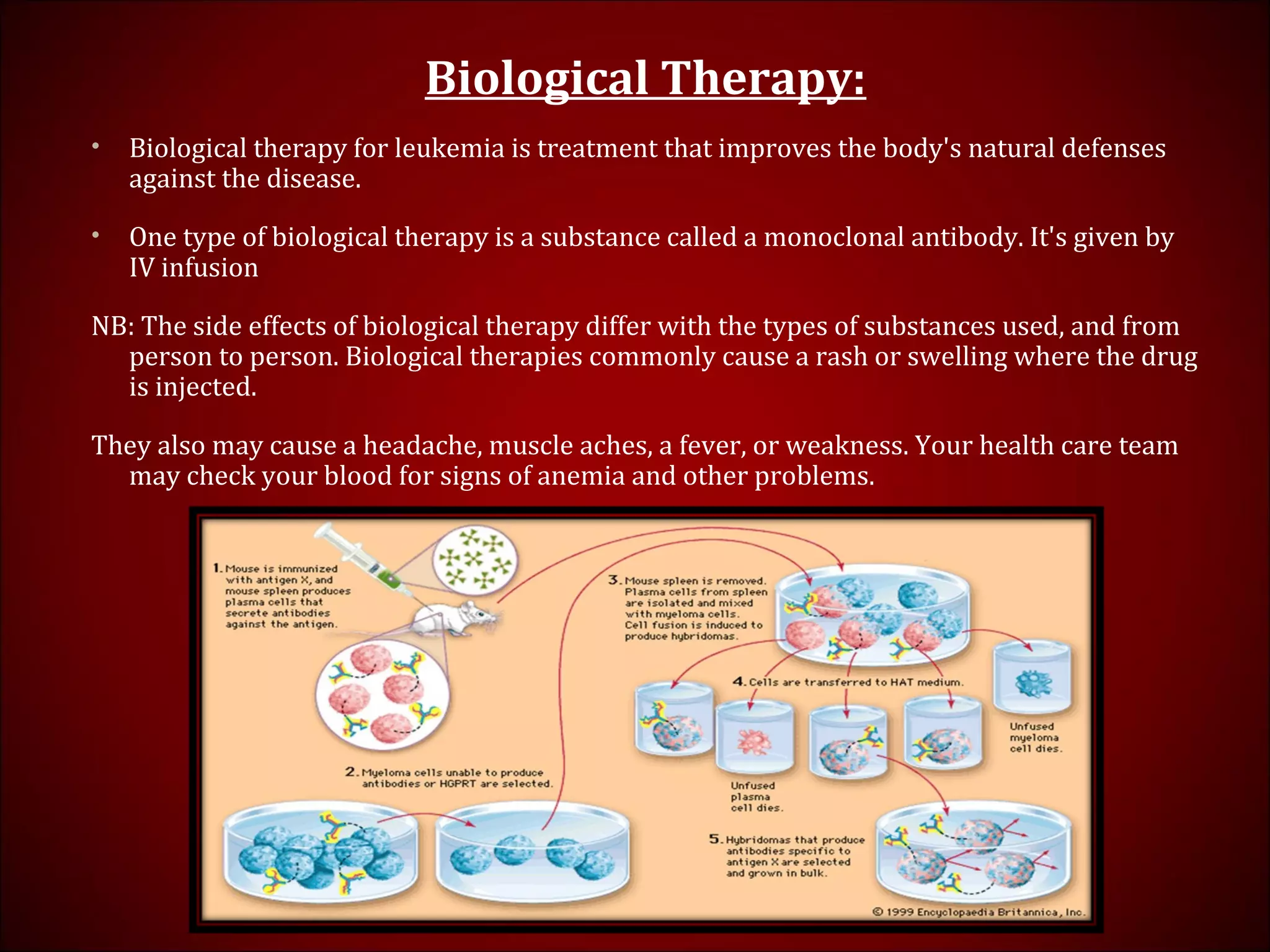 Biological Therapy:
• Biological therapy for leukemia is treatment that improves the body's natural defenses
against the disease.
• One type of biological therapy is a substance called a monoclonal antibody. It's given by
IV infusion
NB: The side effects of biological therapy differ with the types of substances used, and from
person to person. Biological therapies commonly cause a rash or swelling where the drug
is injected.
They also may cause a headache, muscle aches, a fever, or weakness. Your health care team
may check your blood for signs of anemia and other problems.
 