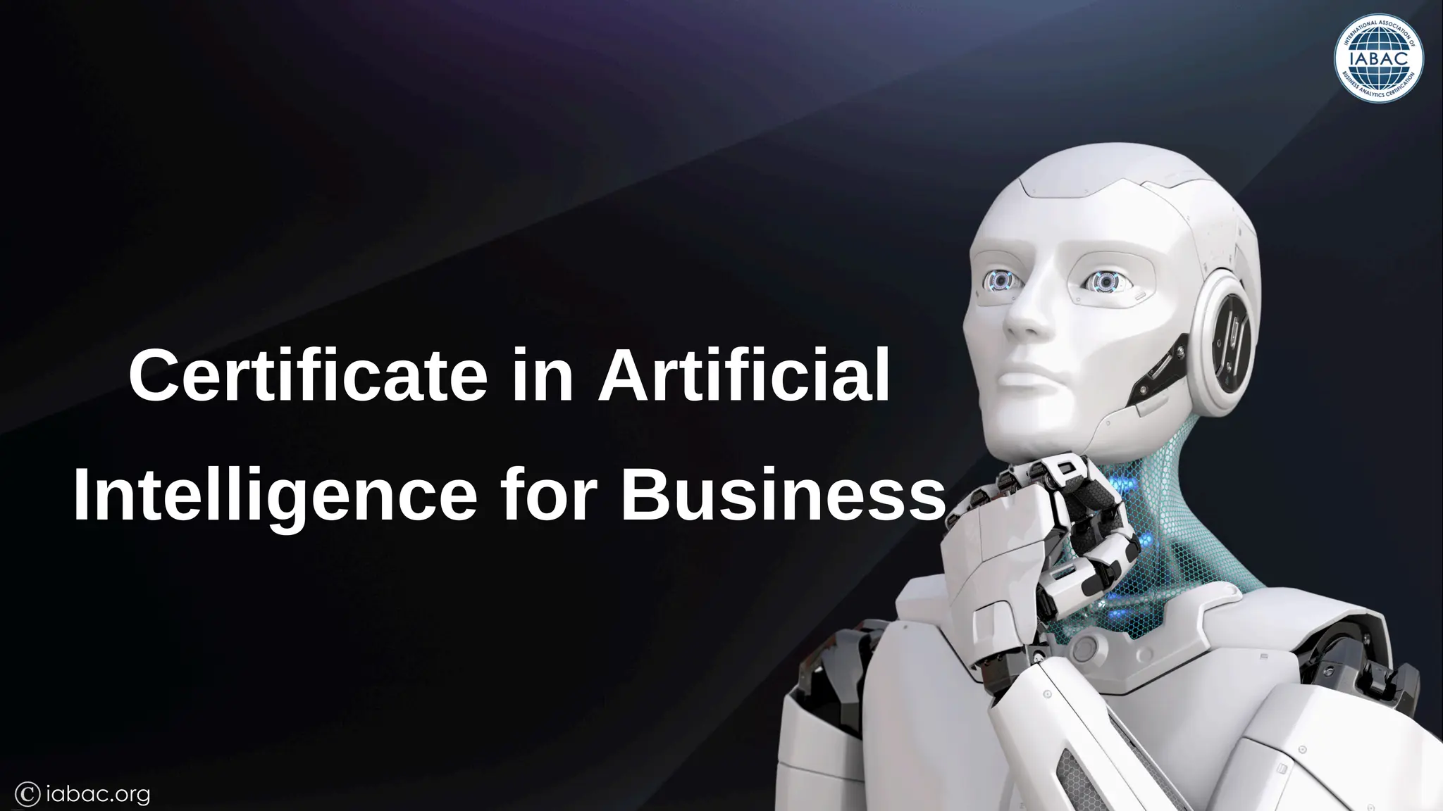 Certificate in Artificial Intelligence for Business | IABAC | PDF