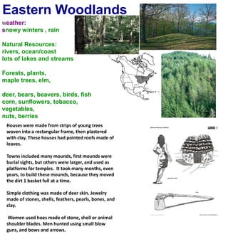 Eastern WoodlandsWeather:snowy winters , rainNatural Resources:rivers, ocean/coastlots of lakes and streamsForests, plants, maple trees, elm,deer, bears, beavers, birds, fishcorn, sunflowers, tobacco, vegetables,nuts, berriesHouses were made from strips of young trees woven into a rectangular frame, then plastered with clay. These houses had pointed roofs made of leaves.Towns included many mounds, first mounds were burial sights, but others were larger, and used as platforms for temples.  It took many months, even years, to build these mounds, because they moved the dirt 1 basket full at a time.Simple clothing was made of deer skin. Jewelry made of stones, shells, feathers, pearls, bones, and clay. Women used hoes made of stone, shell or animal shoulder blades. Men hunted using small blow guns, and bows and arrows.