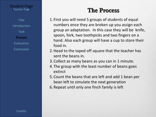 Student Page
 [Teacher Page]
                                        The Process
     Title        1. First you will need 5 groups of students of equal
 Introduction        numbers once they are broken up you assign each
     Task            group an adaptation. In this case they will be knife,
   Process
                     spoon, fork, two toothpicks and two fingers on a
                     hand. Also each group will have a cup to store their
  Evaluation
                     food in.
  Conclusion
                  2. Head to the taped off square that the teacher has
                     sent the beans in.
                  3. Collect as many beans as you can in 1 minute.
                  4. The group with the least number of beans goes
                     extinct
                  5. Count the beans that are left and add 1 bean per
                     bean left to simulate the next generation
                  6. Repeat until only one finch family is left




    Credits
 