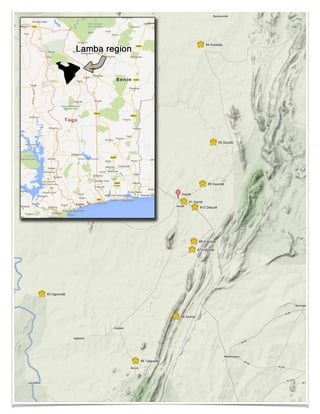 Shanks 2013 annual report