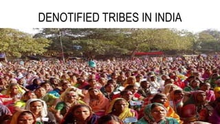 DENOTIFIED TRIBES IN INDIA
 