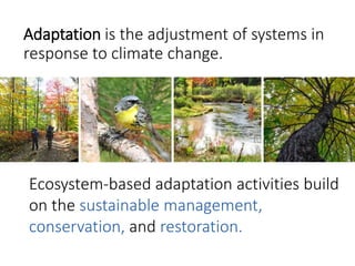 Climate Change Risk Management | PPTX