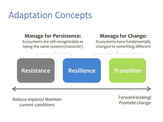 Climate Change Risk Management | PPTX