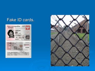 Fake ID cards. 