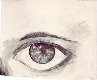 Shannons Ink And Pencil