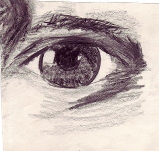 Shannons Ink And Pencil